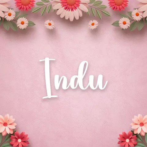 Name DP: indu