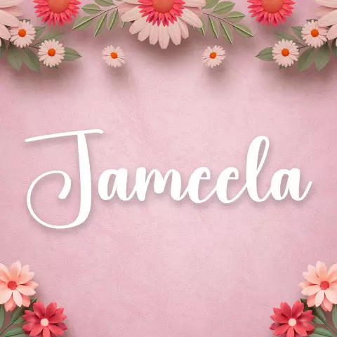 Name DP: jameela