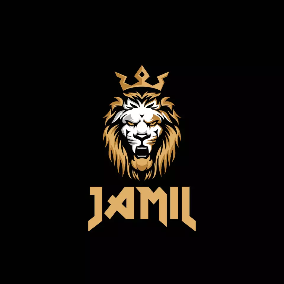 Name DP: jamil