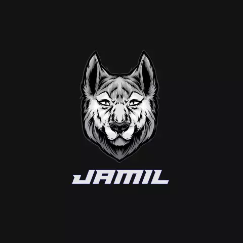Name DP: jamil