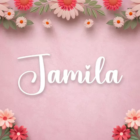 Name DP: jamila