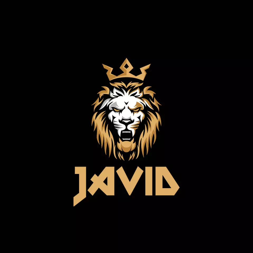 Name DP: javid
