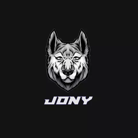 Name DP: jony