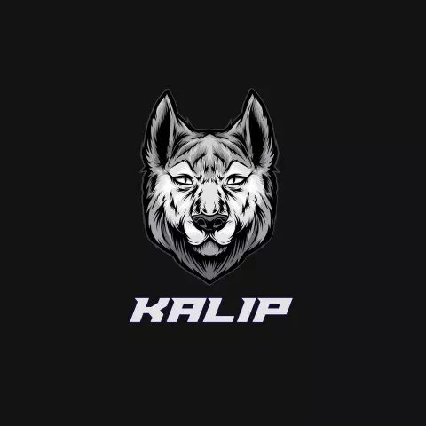 Name DP: kalip