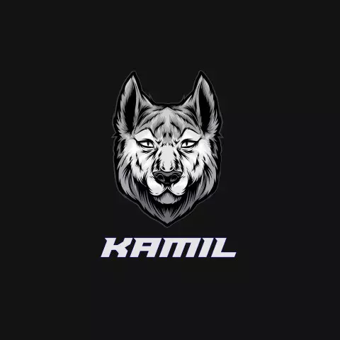 Name DP: kamil