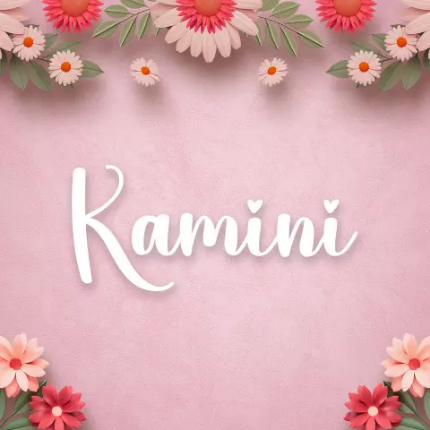 Name DP: kamini