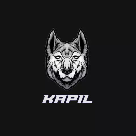 Name DP: kapil