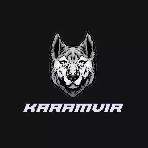 Name DP: karamvir