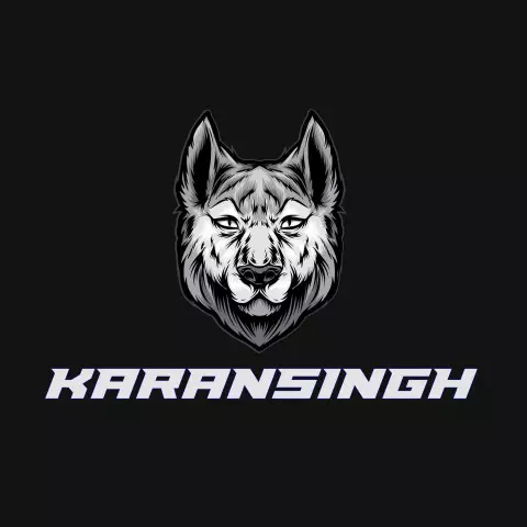 Name DP: karansingh