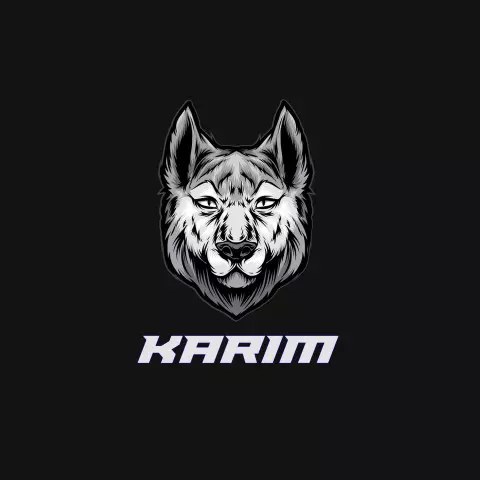 Name DP: karim
