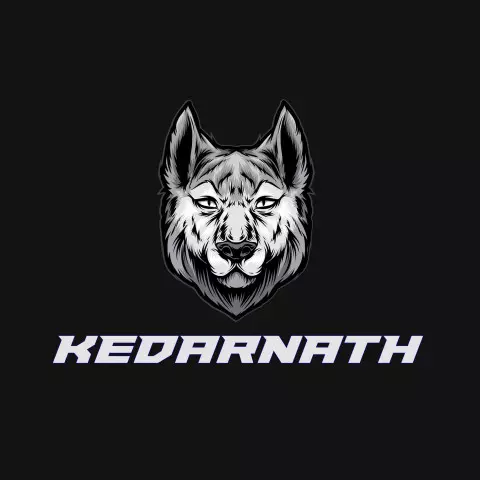 Name DP: kedarnath