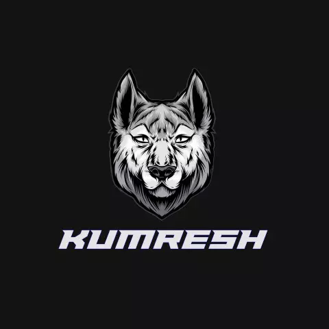 Name DP: kumresh