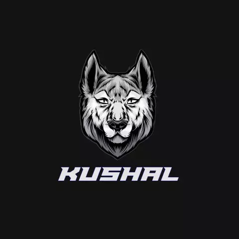 Name DP: kushal