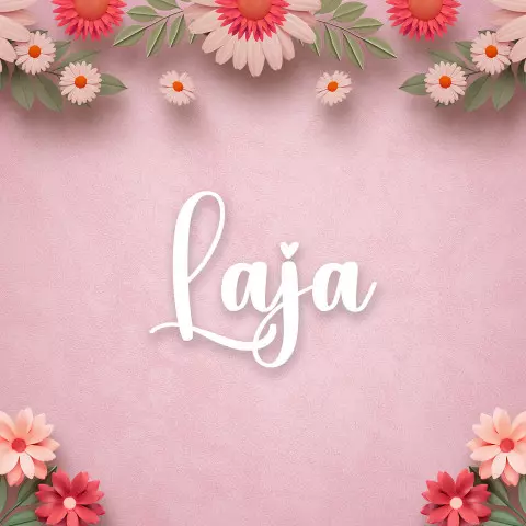 Name DP: laja
