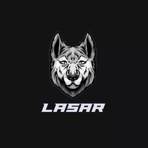 Name DP: lasar