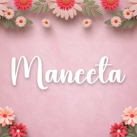 Name DP: maneeta