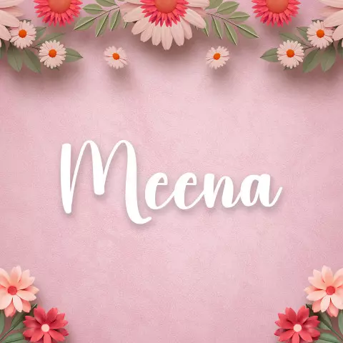 Name DP: meena