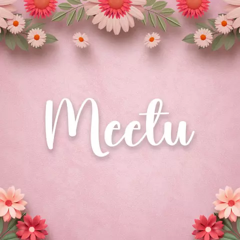 Name DP: meetu