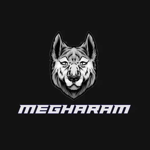 Name DP: megharam