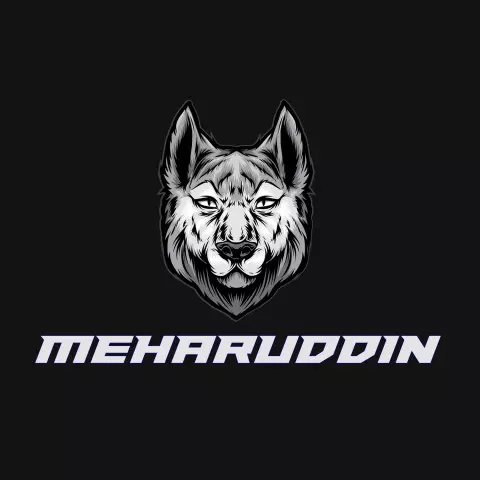 Name DP: meharuddin