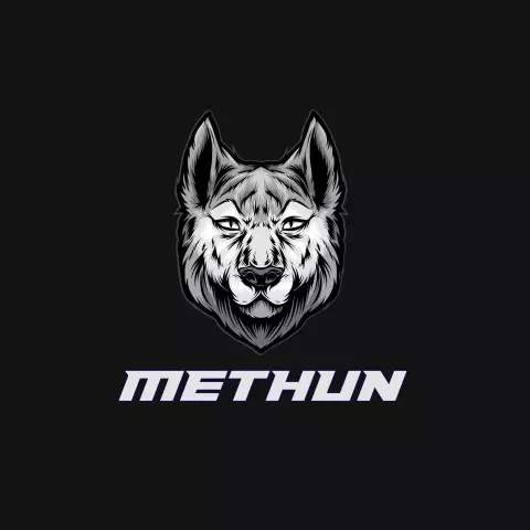 Name DP: methun