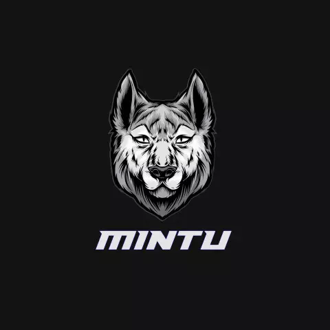 Name DP: mintu