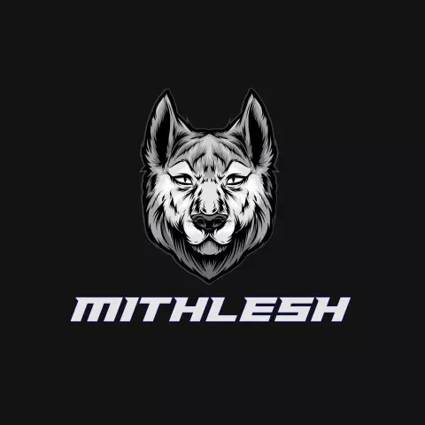 Name DP: mithlesh