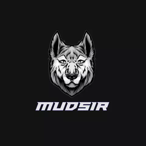 Name DP: mudsir