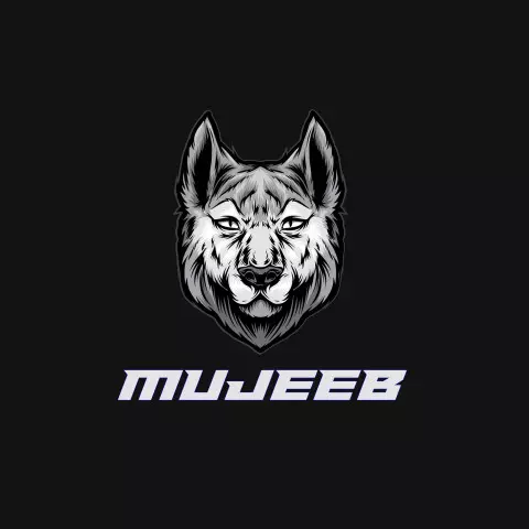 Name DP: mujeeb