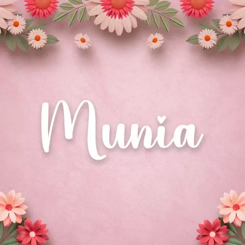 Name DP: munia