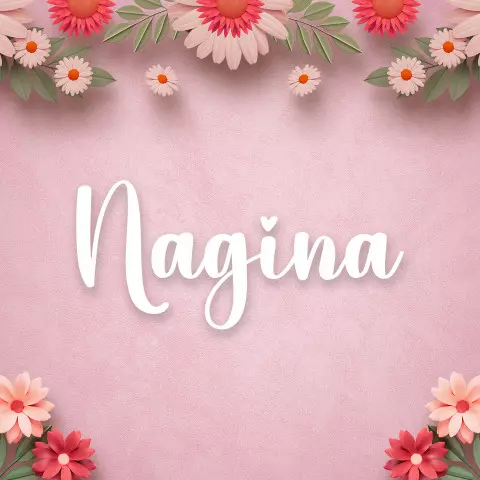 Name DP: nagina