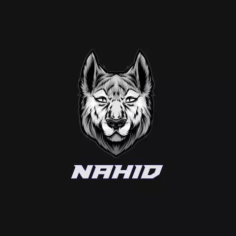 Name DP: nahid