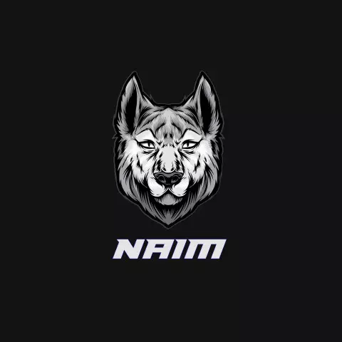 Name DP: naim