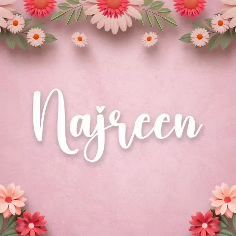 Name DP: najreen