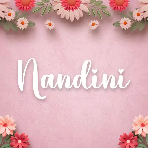 Name DP: nandini