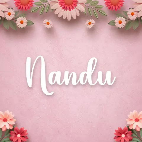 Name DP: nandu