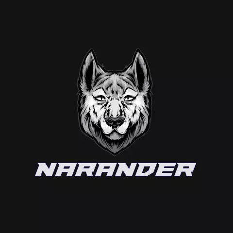 Name DP: narander