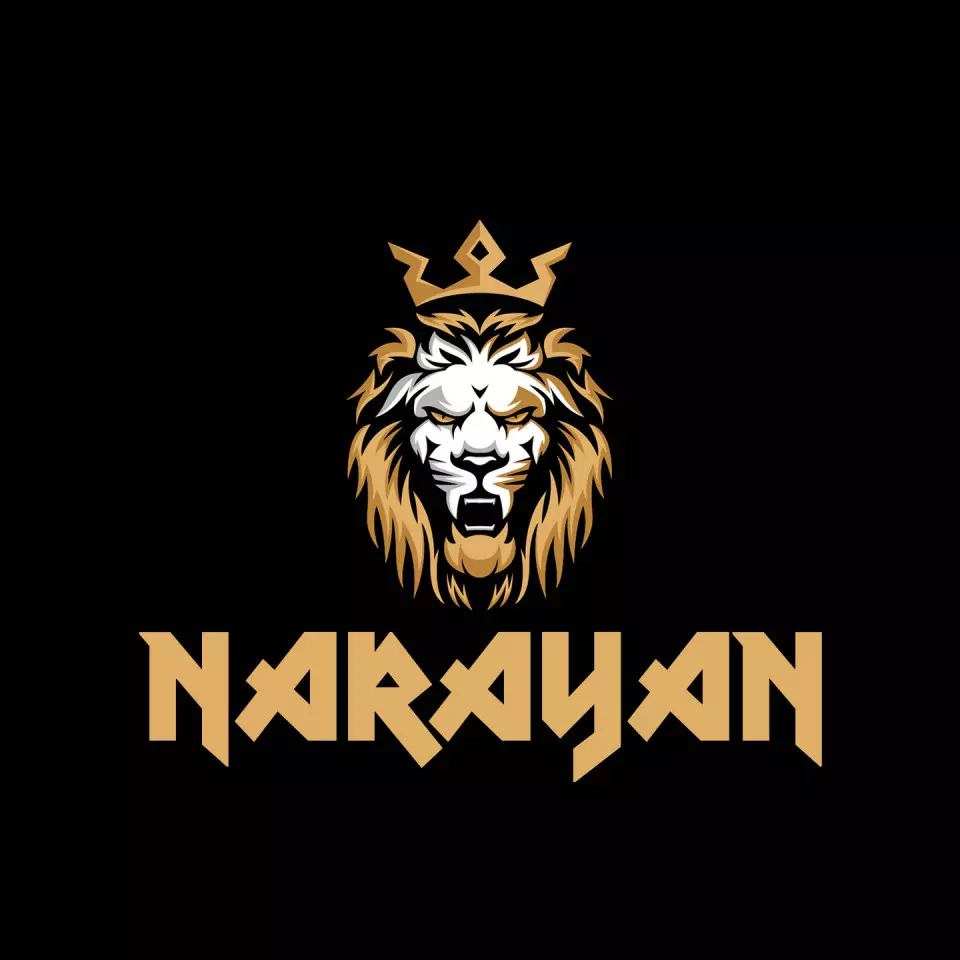 Name DP: narayan