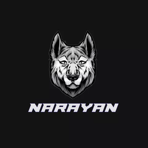 Name DP: narayan