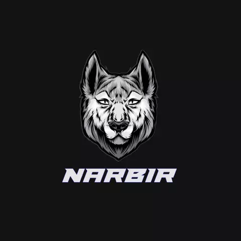 Name DP: narbir