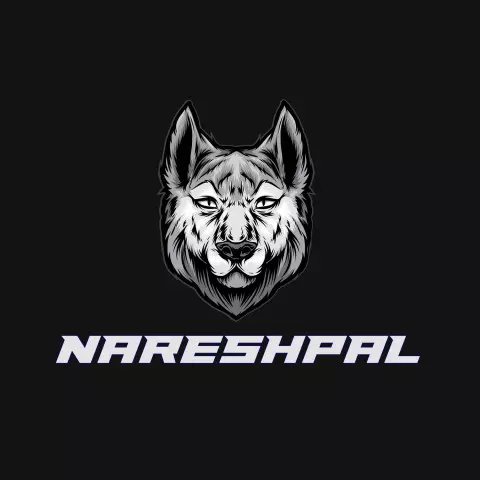 Name DP: nareshpal