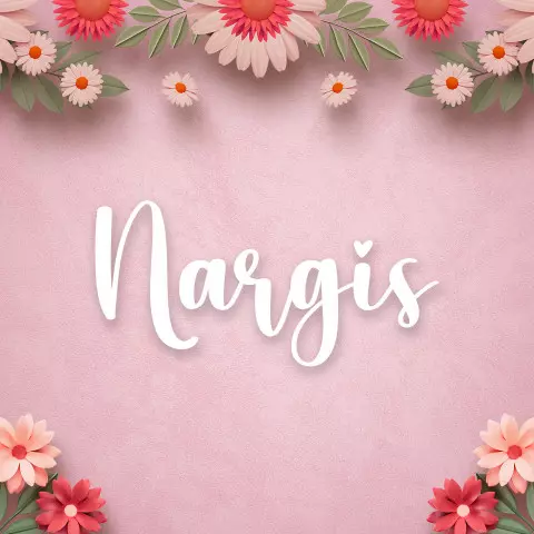 Name DP: nargis