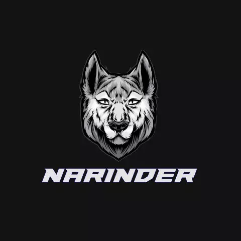 Name DP: narinder