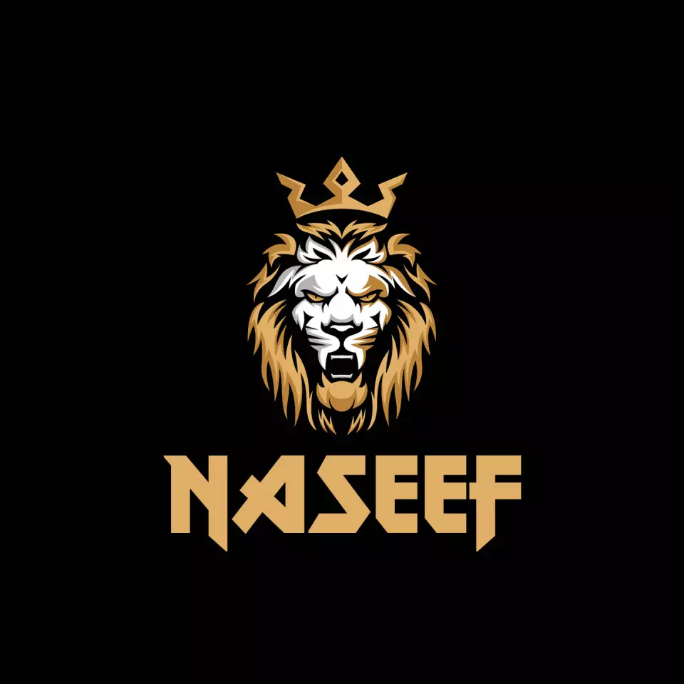 Name DP: naseef
