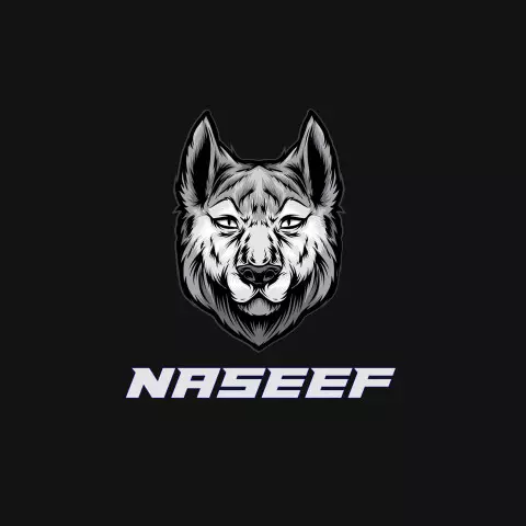 Name DP: naseef