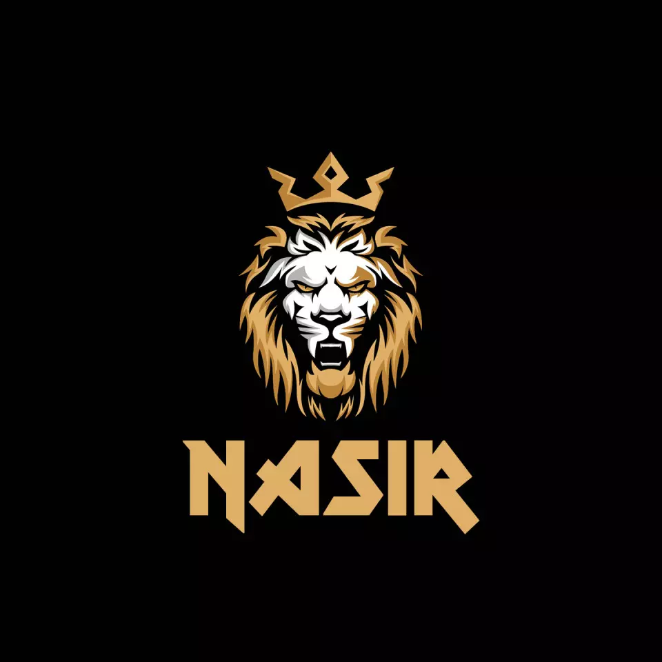 Name DP: nasir