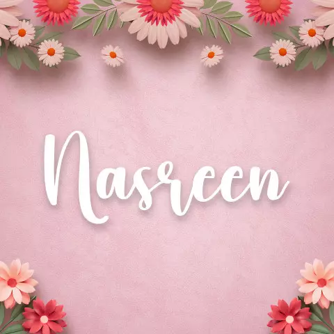 Name DP: nasreen