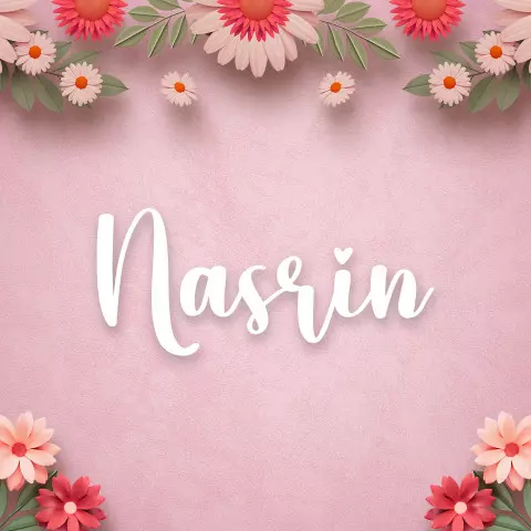 Name DP: nasrin