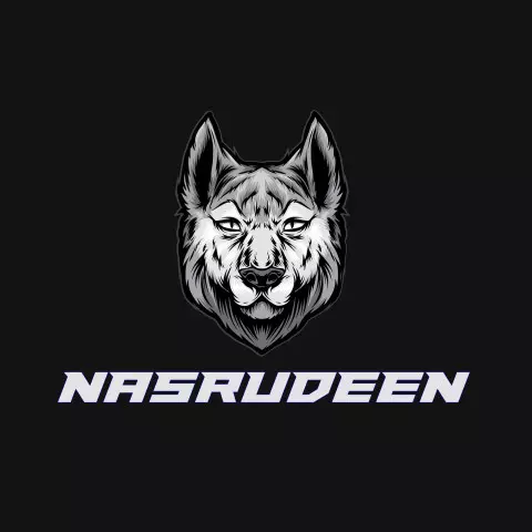 Name DP: nasrudeen