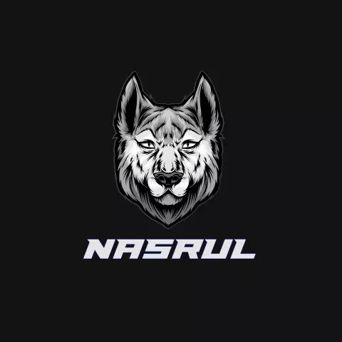 Name DP: nasrul